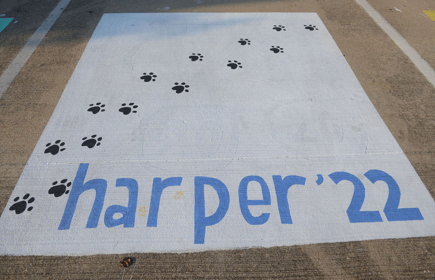 A&M Consolidated HS painted parking spots